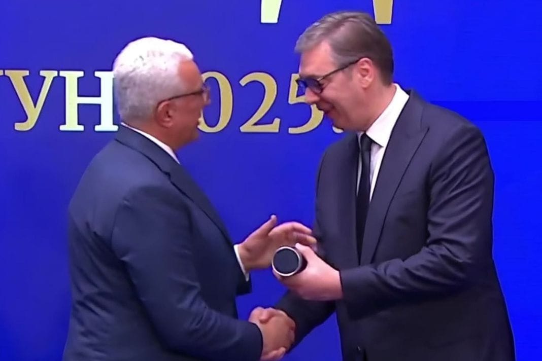 mandić vučić
