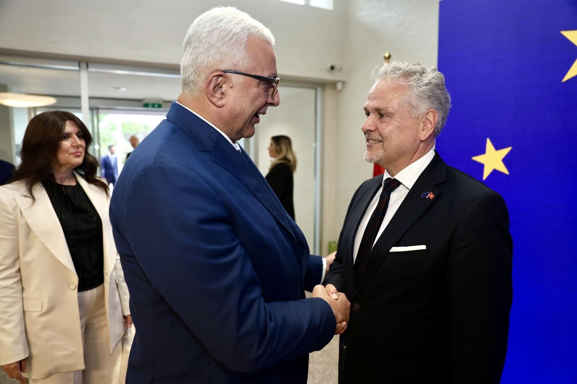 mandić satler