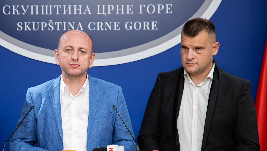 knežević asanović