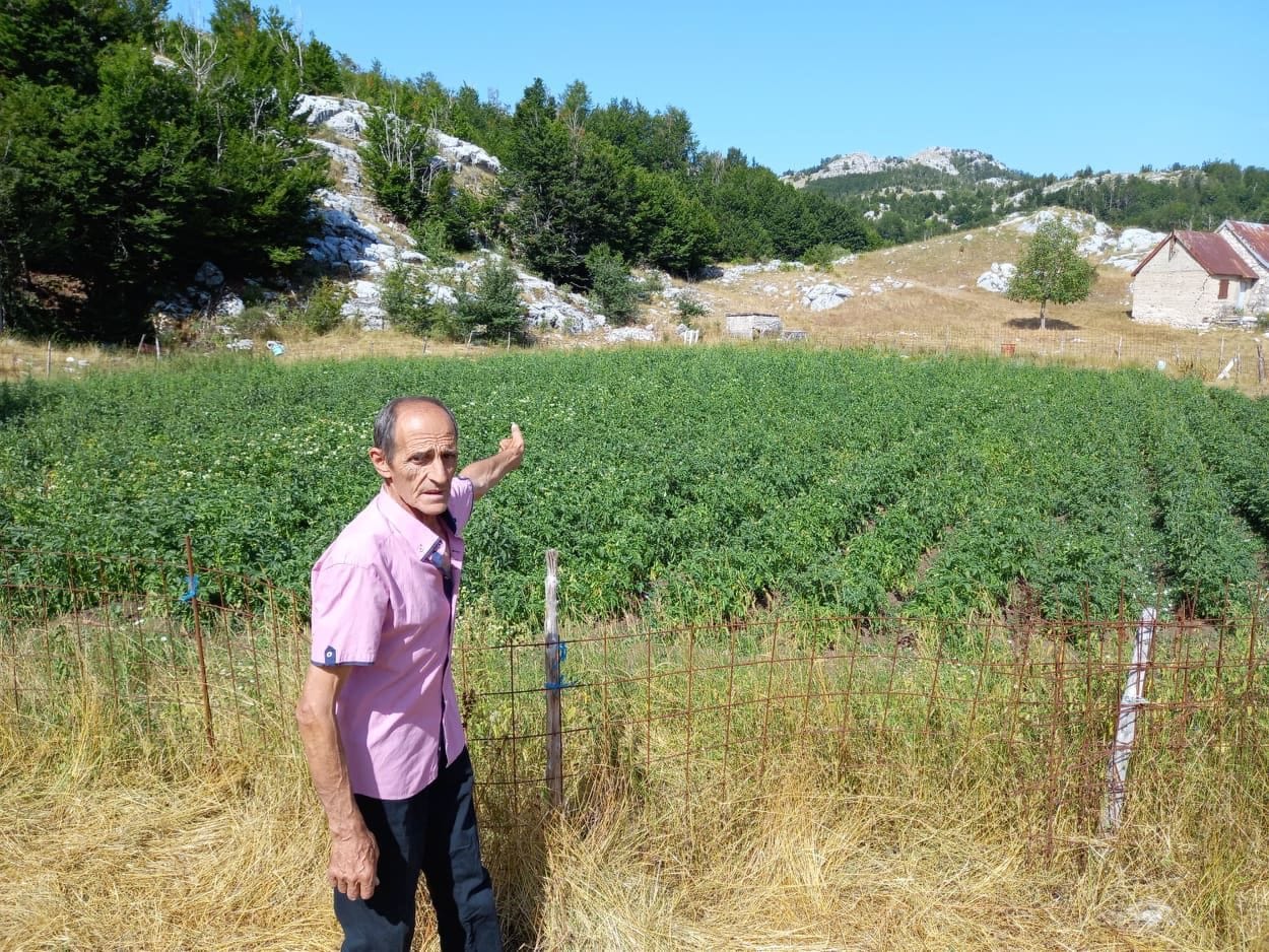 Fotografija 1: In memoriam - Savo (Nikov) Martinović (1950–2025) stamen kao Lovćen blag kao bukova śena