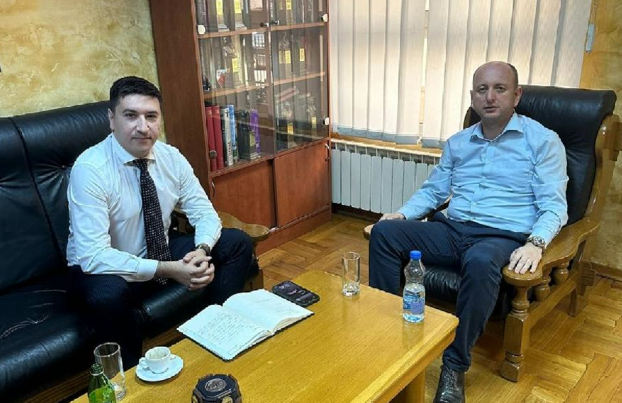 dajković knežević