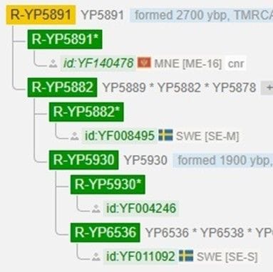 Fotografija 4: BAJKOVIĆI - CRNOGORCI dukljanskoga porijekla, nauka (DNK test) kaže: ''Kad je genetika u pitanju, Bajkovići ''Srbalji'' su 100% omanuli - sebe grdno obmanuli!'' (I)