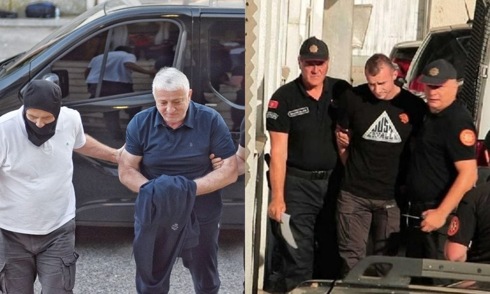 petar lazović zoran