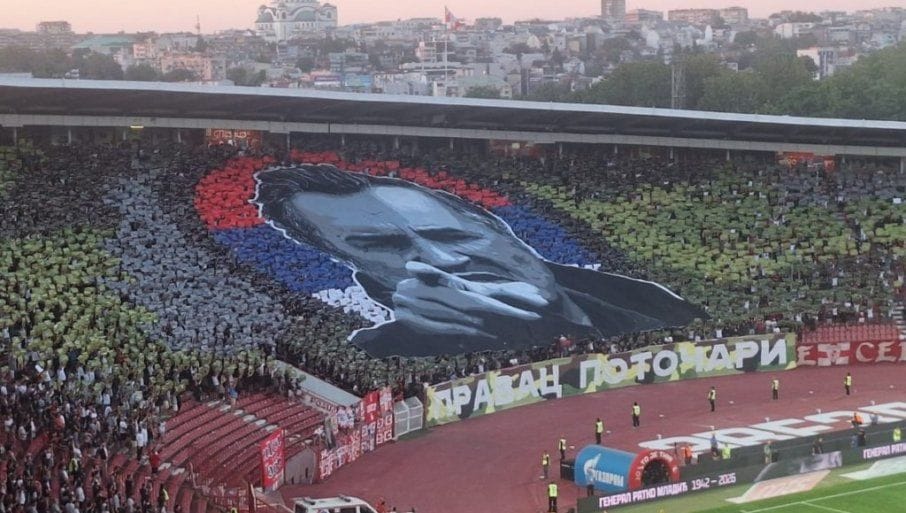 mladić