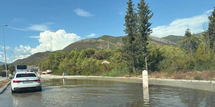 tivat jaz
