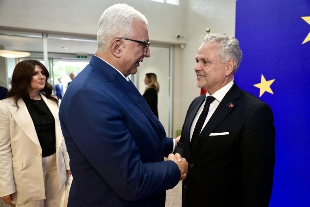 mandić satler