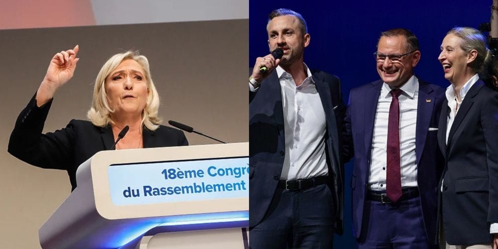 marin le pen afd